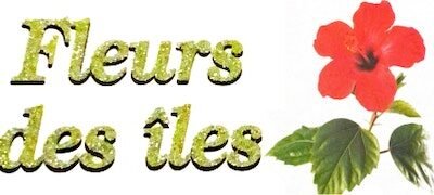 Fleuriste près de Sainte-Geneviève-des-Bois | FLEURS DES ÎLES
