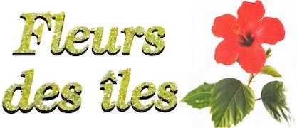 Fleuriste près de Sainte-Geneviève-des-Bois | FLEURS DES ÎLES